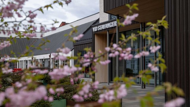 Bilde av campus Stavanger tatt fra utsiden med blomster i forgrunnen