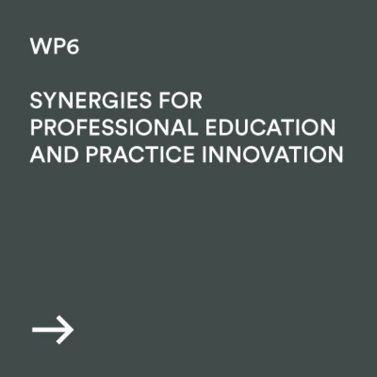 WP6 Synergies for professional education and practice innovation