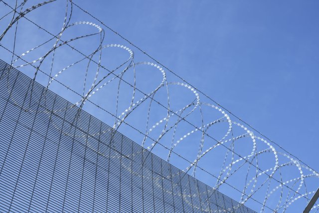 piggtåd på toppen av et gjerde