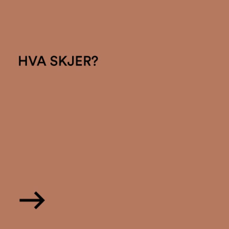 Hva skjer