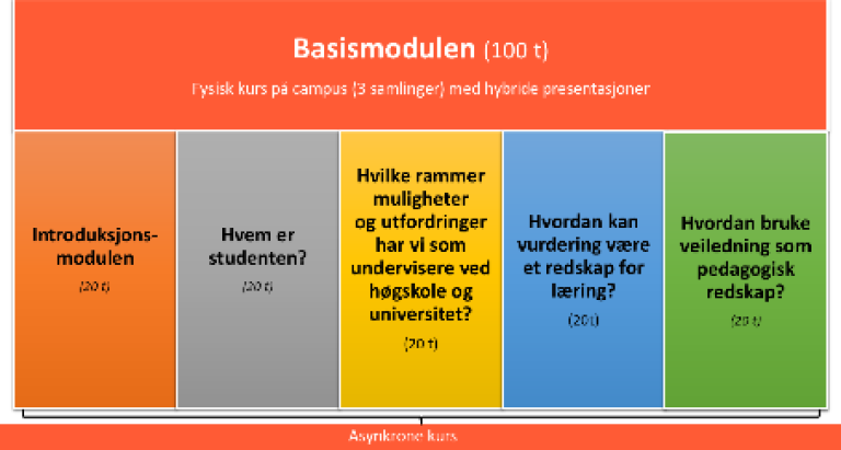 Basismodul (100t) fordelt på 5 asynkrone kur på 20t hver