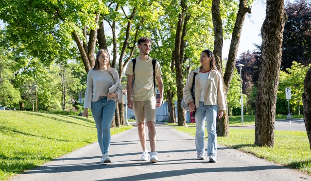 Studenter går langs fortauet opp mot VID