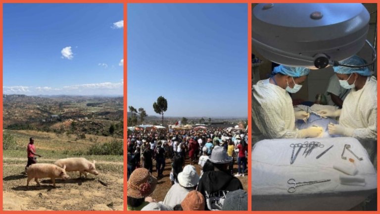 Samling av bilder fra Madagaskar