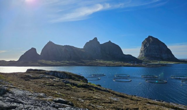 En øy ute i havet 