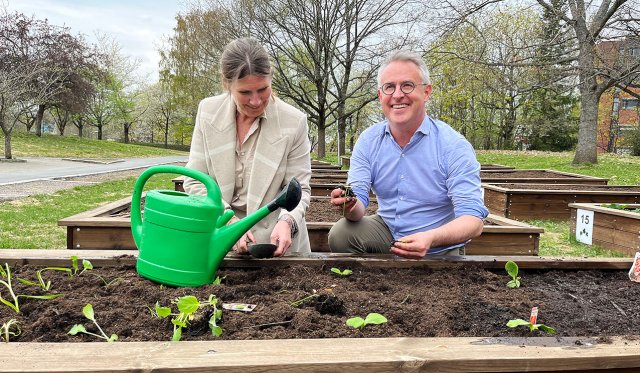 Bård og Marianne sitter på huk ved plantekasse