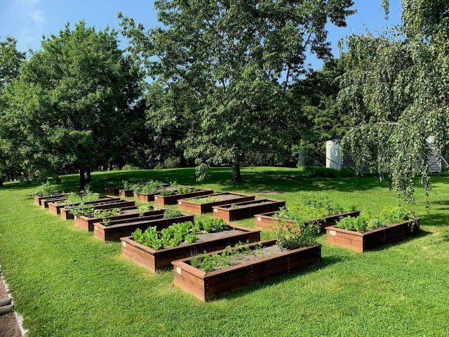 Plantekasser med ulike grønnsaker plantet i