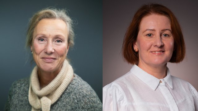 Portrett av de to