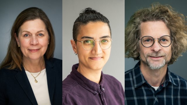 Portrett av Hauge, Ummak og Skjeggestad