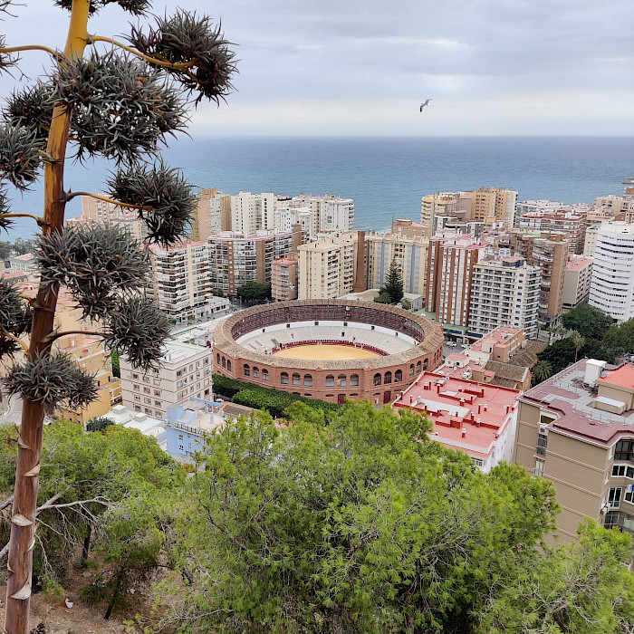 Reisebrev fra Erasmus+ ansattmobilitet i Malaga