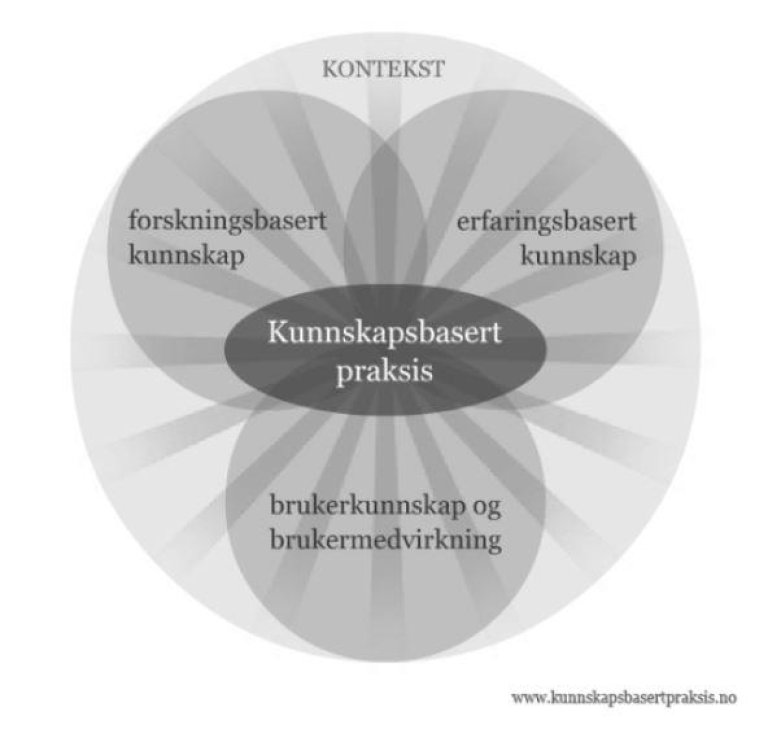 Grafisk fremstilling av kunnskapsbasert praksis